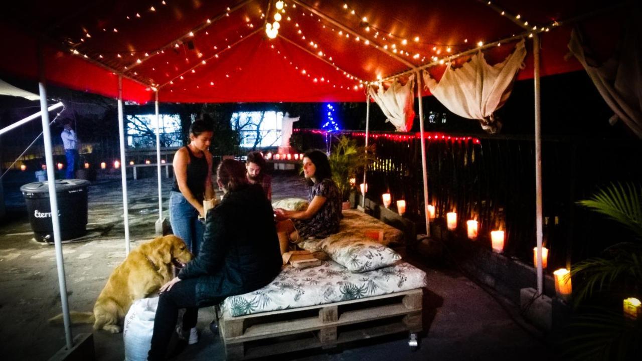 Selvatica Alojamiento Eco (Adults Only) 메딜린 외부 사진